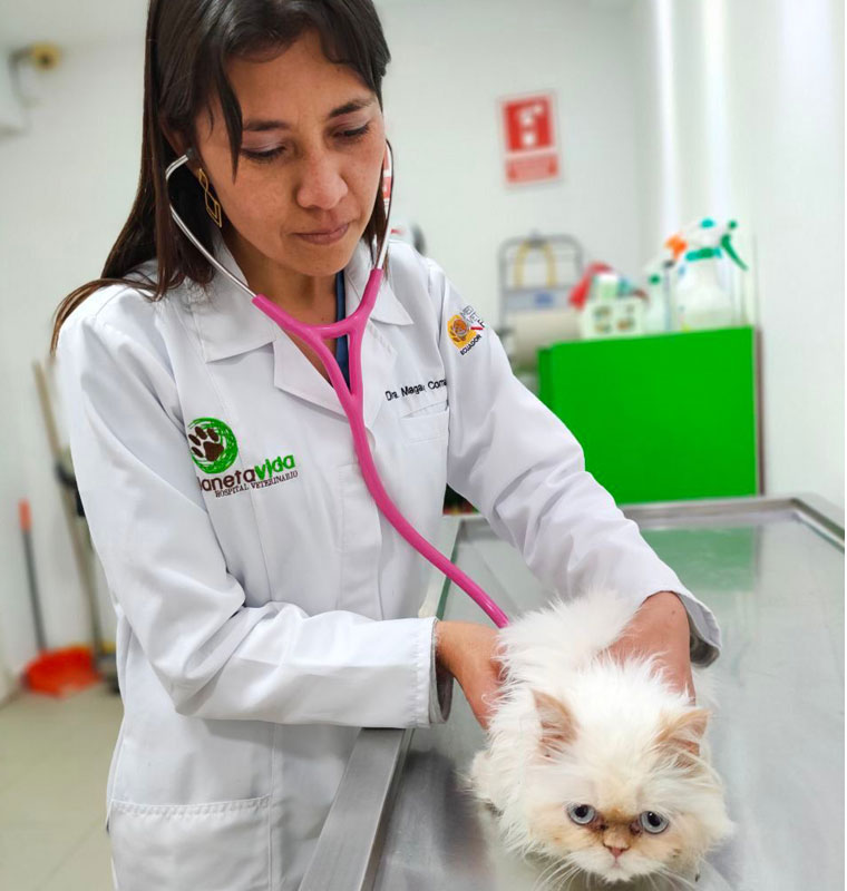 Hospital Veterinario Planeta Vida  - Latacunga Ecuador